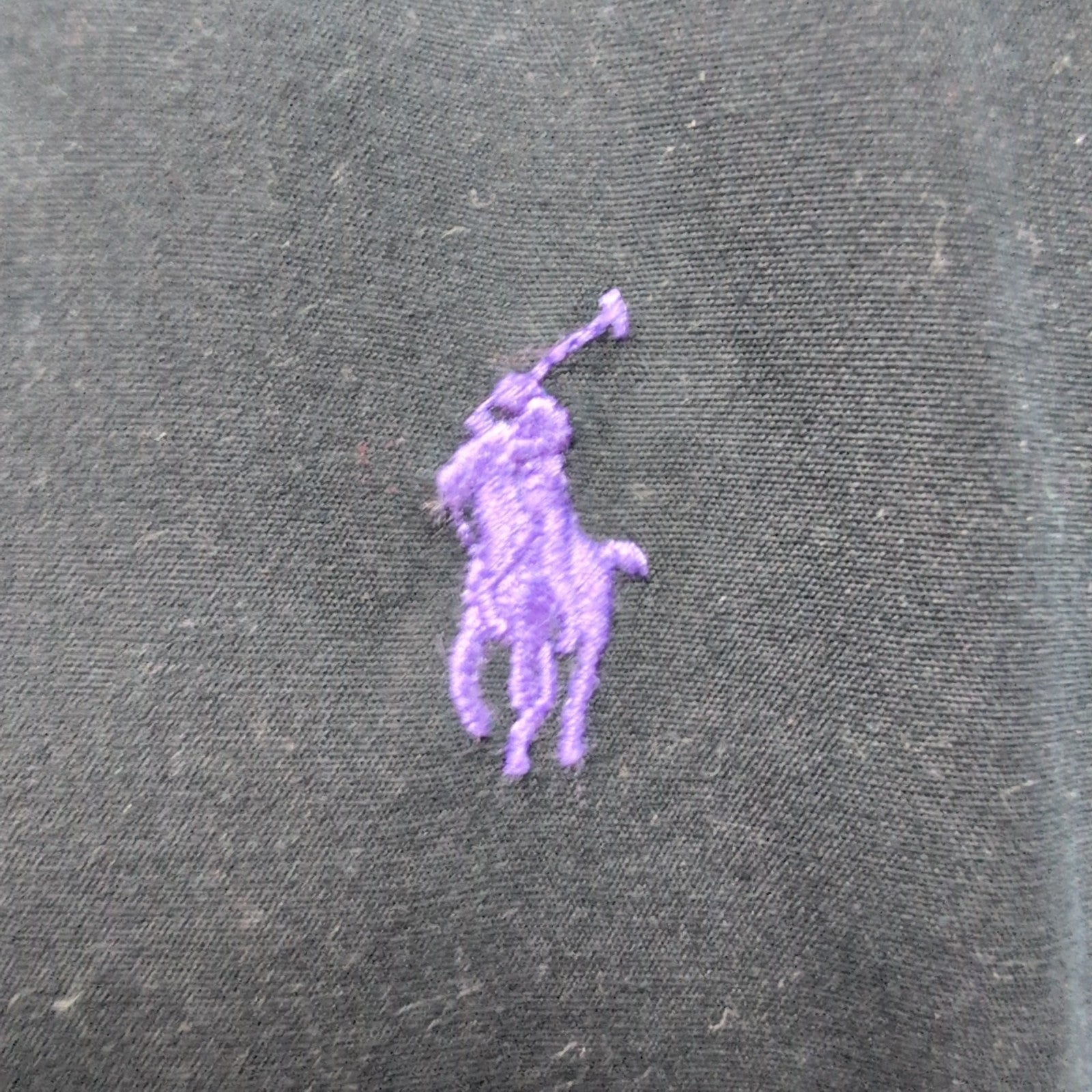 Chemise Ralph Lauren L Noir Logo Violet Classic Fit Button Down Coton Shirt
