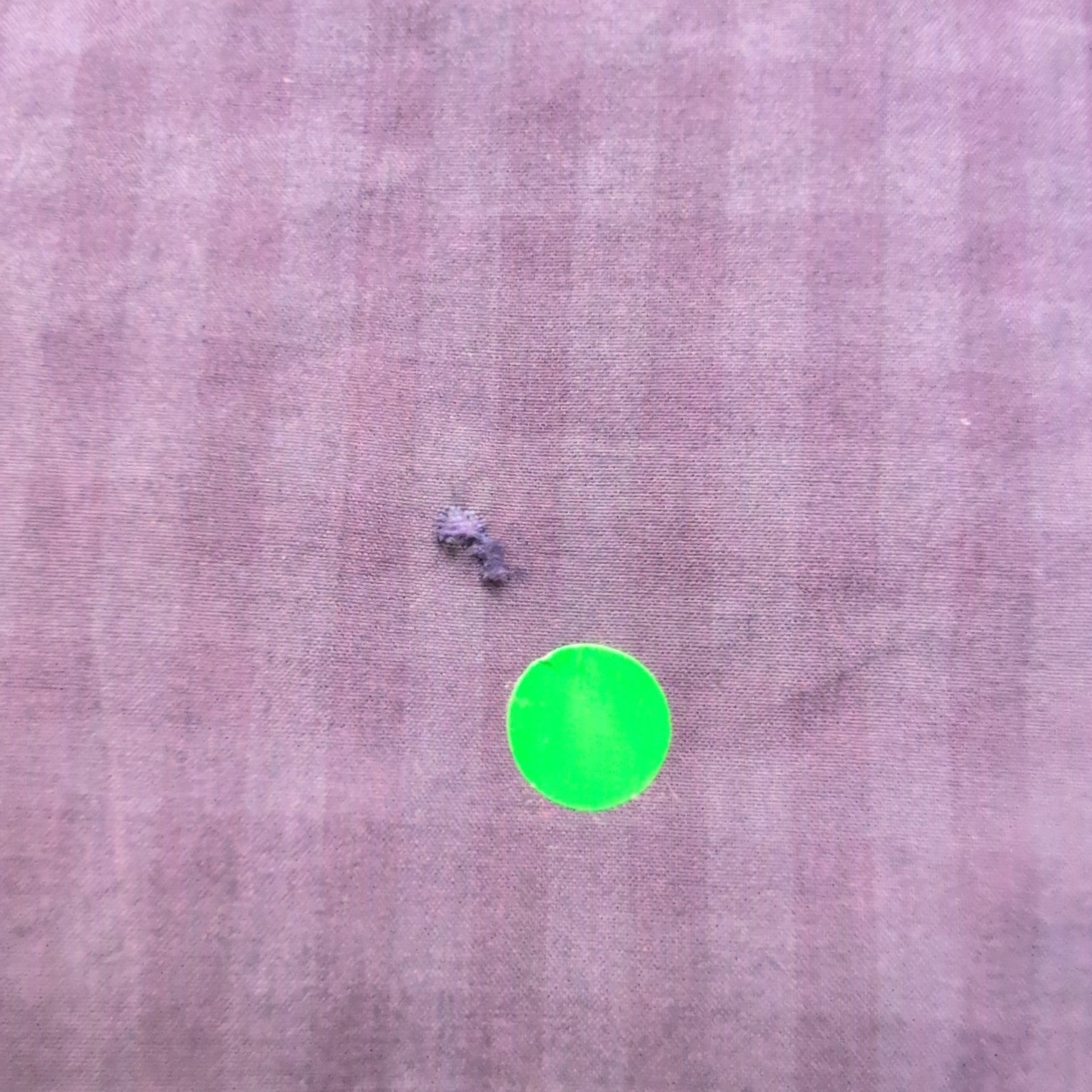 Chemise Polo Ralph Lauren L Carreaux Violets Coton Modèle Sans Logo
