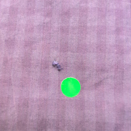 Chemise Polo Ralph Lauren L Carreaux Violets Coton Modèle Sans Logo