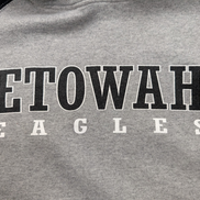 ➜ Sweat à Capuche Vintage Jerzees NuBlend - Etowah Eagles - Taille M