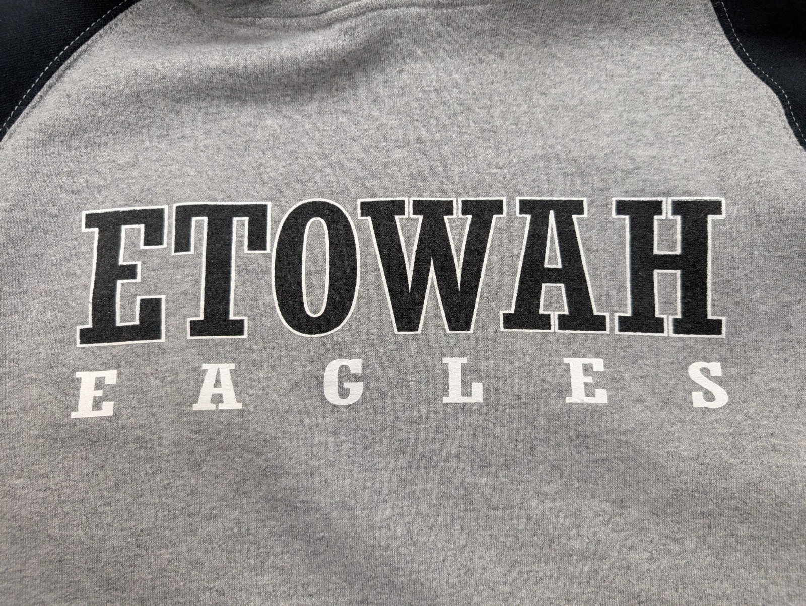 ➜ Sweat à Capuche Vintage Jerzees NuBlend - Etowah Eagles - Taille M