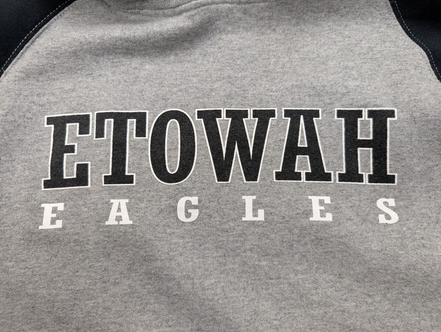 ➜ Sweat à Capuche Vintage Jerzees NuBlend - Etowah Eagles - Taille M