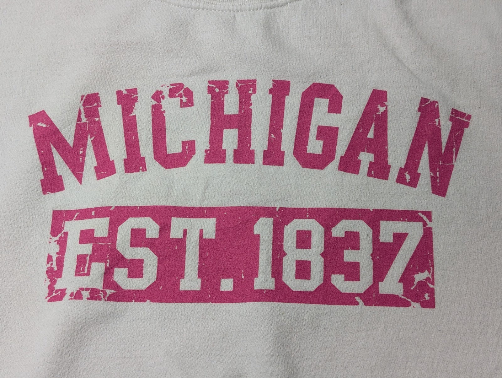 Sweat Michigan Est 1837 Vintage University College USA Gildan Navy Taille L
