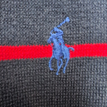 Polo Ralph Lauren Homme L Bleu Marine Rayures Rouges Logo Bleu Polo Manches Cour