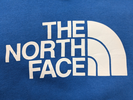 The North Face Sweat à Capuche Bleu Logo Blanc - Taille XL G (18-20 ans)