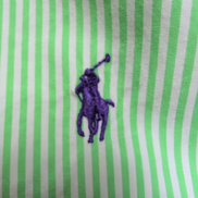 Chemise Ralph Lauren L Rayures Vertes Logo Violet 100% Coton manches longues