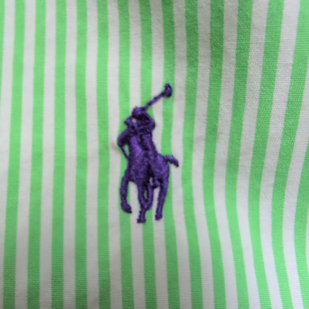 Chemise Ralph Lauren L Rayures Vertes Logo Violet 100% Coton manches longues