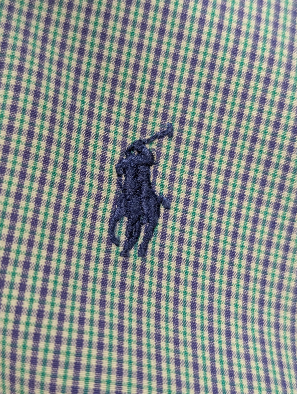 Chemise Polo Ralph Lauren Shirt L Blake Carreaux Vert Violet Two-Ply Button Down