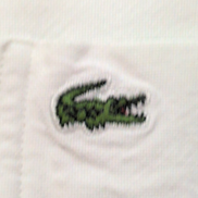 Chemise Lacoste L 42 Blanche Manches Courtes 100% Coton Logo Brodé