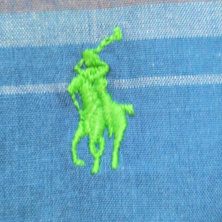 Chemise Ralph Lauren M Enfant Carreaux Bleu Multicolore Logo Vert manches longue