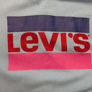 Sweat à capuche Levi's Bleu Ciel Logo Sérigraphié Taille L