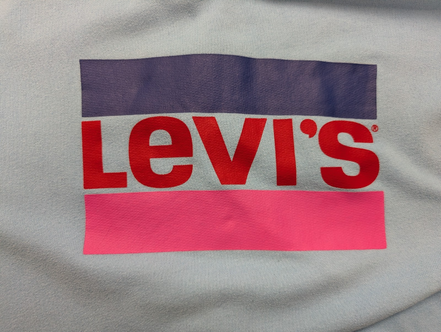 Sweat à capuche Levi's Bleu Ciel Logo Sérigraphié Taille L