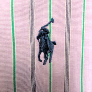 Chemise Ralph Lauren Ellington TALK L Manches Courtes Lilas Rayures Vertes Logo