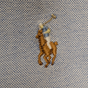 Chemise Ralph Lauren Bleu Clair Logo Marron Manches Longues - Taille S / 18